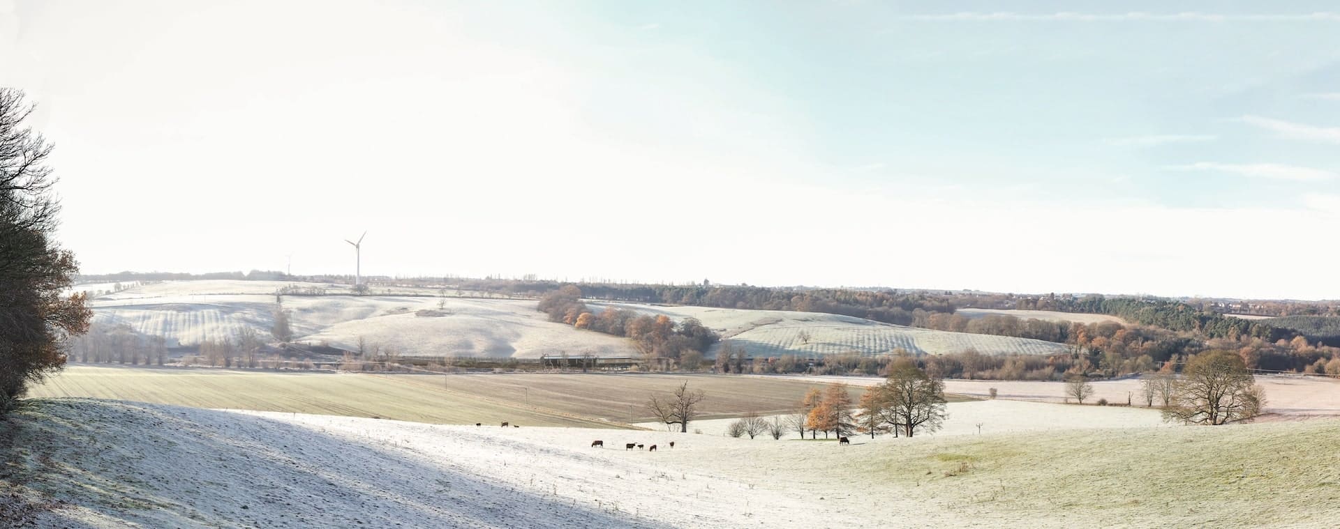 Clyde Valley Distillery LVA | TGP Landscape Architects